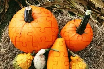i4 jigsaw puzzle