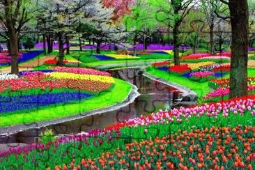 paisaje hermoso 3