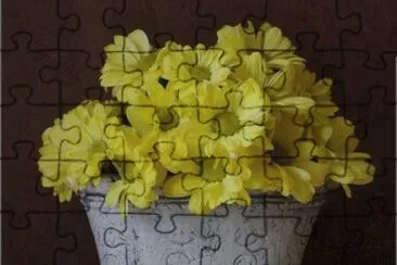 פאזל של flores