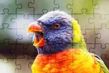 pÃ¡ssaros jigsaw puzzle