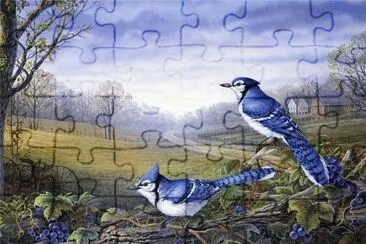 pÃ¡ssaros jigsaw puzzle