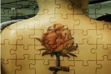 170 jigsaw puzzle