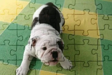 Brasileirinho jigsaw puzzle