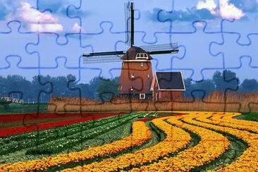 views jigsaw puzzle
