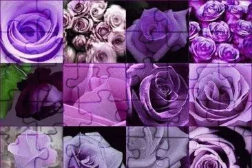 glory jigsaw puzzle
