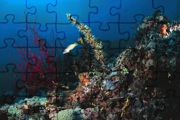 ppng1 jigsaw puzzle