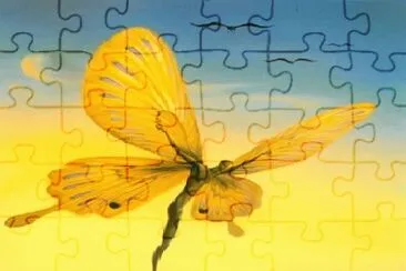241