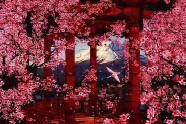 vida cor de rosa