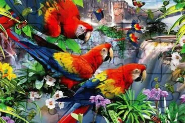 bando de araras jigsaw puzzle