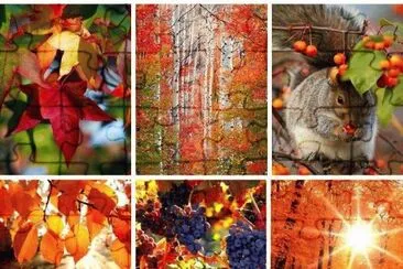 imagens jigsaw puzzle