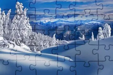  jigsaw puzzle