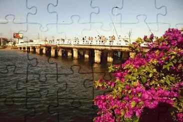 פאזל של rio