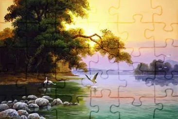 rio jigsaw puzzle