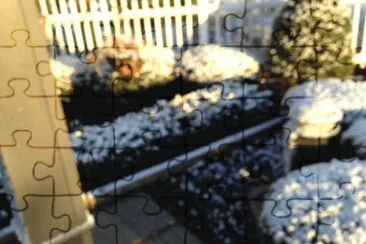 snow