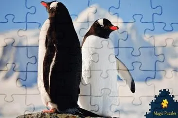 various photos jigsaw puzzle