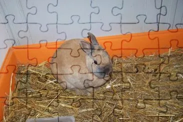 caryl jigsaw puzzle