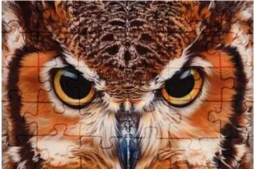 פאזל של Great Horned Owl Face