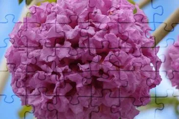 fleur jigsaw puzzle