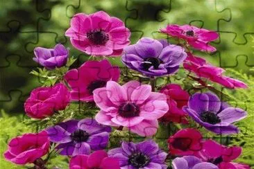 paisaje jigsaw puzzle