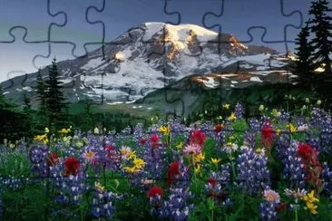 naturaleza jigsaw puzzle