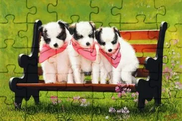 amigos