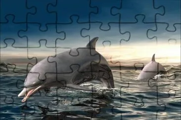 two dolphins in the sea jigsaw puzzle