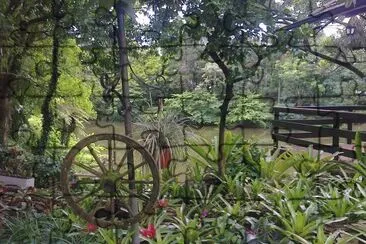 Vegetaçao Gaucha - RS