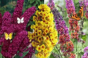 buddleia jigsaw puzzle
