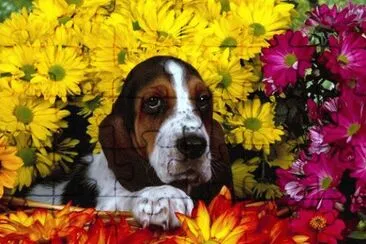 amor jigsaw puzzle