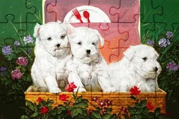 cÃ£ezinhos