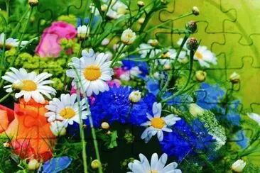 flores