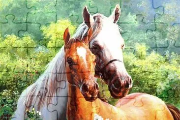 cavalos