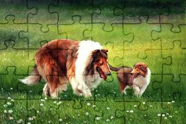 cÃ£es