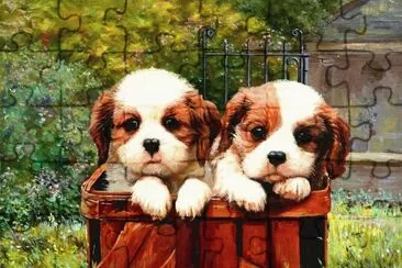 cÃ£es
