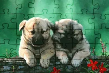 cÃ£ezinhos
