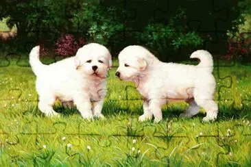 cÃ£ezinhos jigsaw puzzle