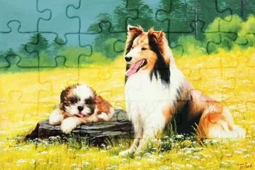 cÃ£es jigsaw puzzle