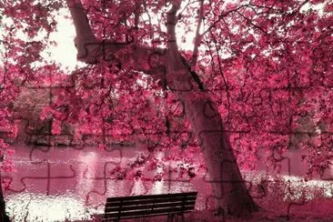 paisaje jigsaw puzzle
