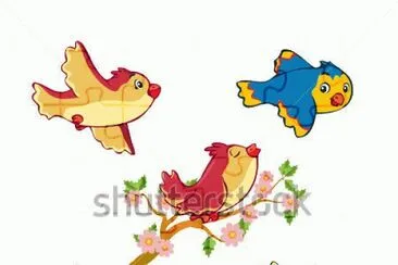 pajaros