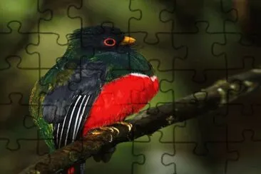 . jigsaw puzzle