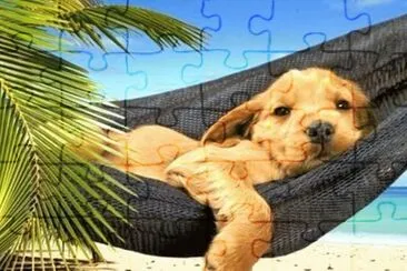 Crisfer jigsaw puzzle