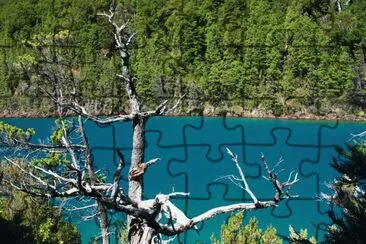 RÃ­o Puelo. Chubut. Argentina jigsaw puzzle