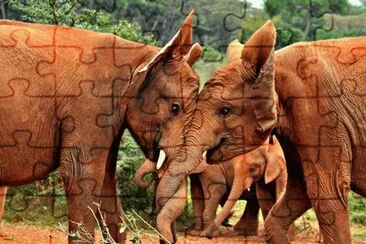 la india jigsaw puzzle