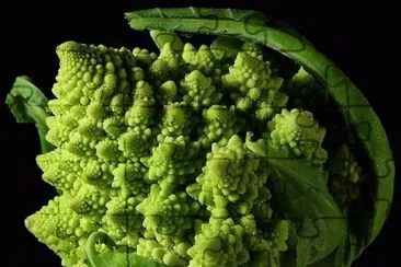 Broccoli Fractal