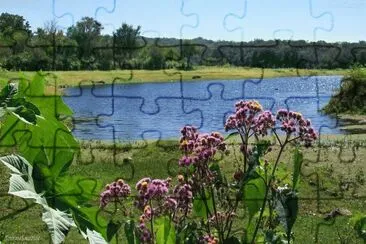 Embalse Sumampa. Catamarca. Argentina jigsaw puzzle