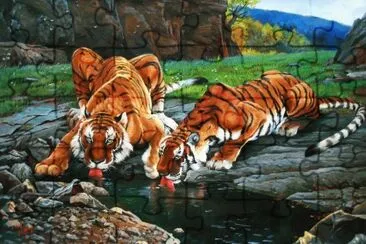 tigres jigsaw puzzle