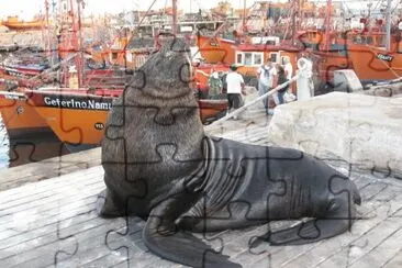 En el puerto de Mar del Plata. Bs. As.- Argentina jigsaw puzzle
