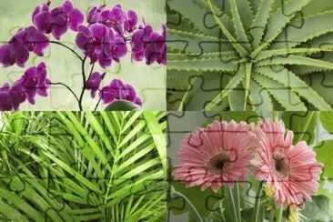PLANTAS DE INTERIOR. jigsaw puzzle