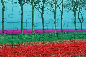 views jigsaw puzzle