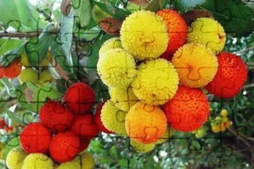 summer-79 jigsaw puzzle